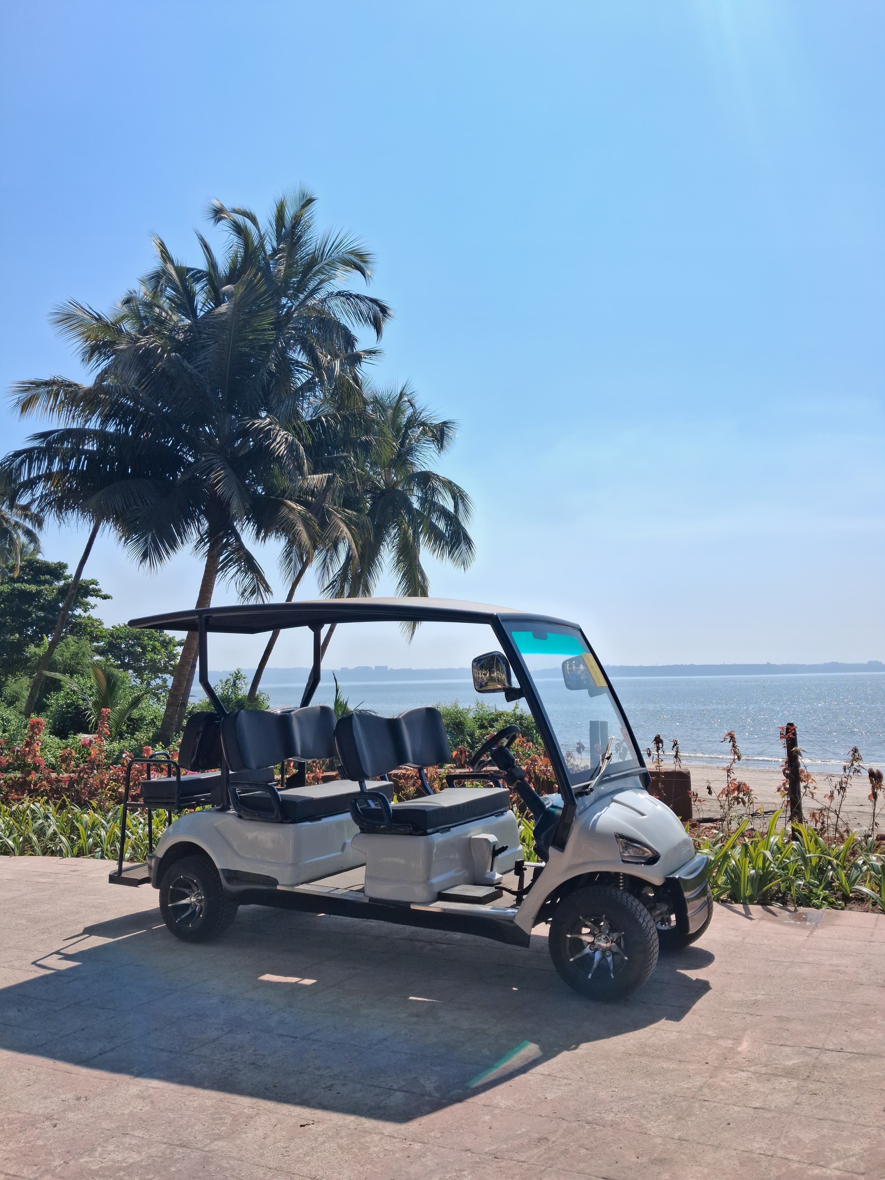 Baraat Vans, Baraat on Wheels & Buggy Rentals in Goa - Photo 4