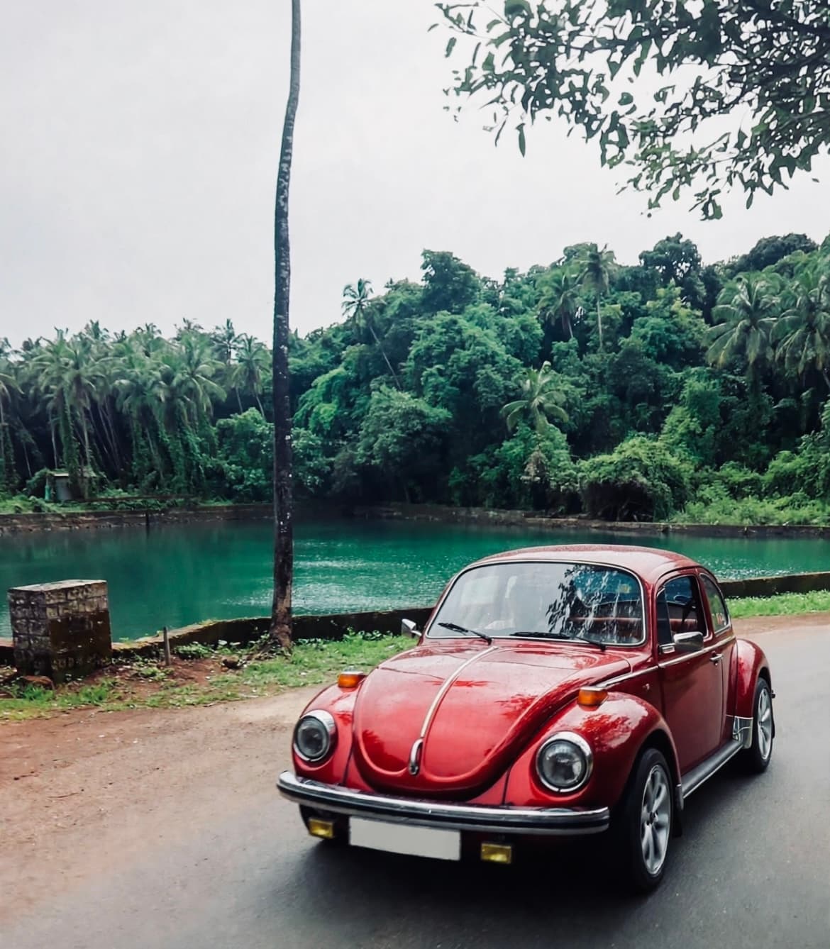 Volkswagen Vintage Beetle — Retro Red