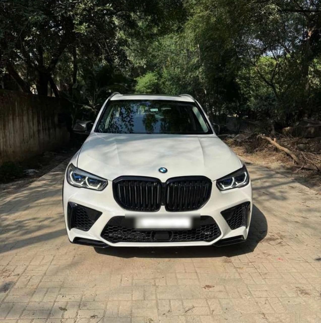 BMW X5 in Goa